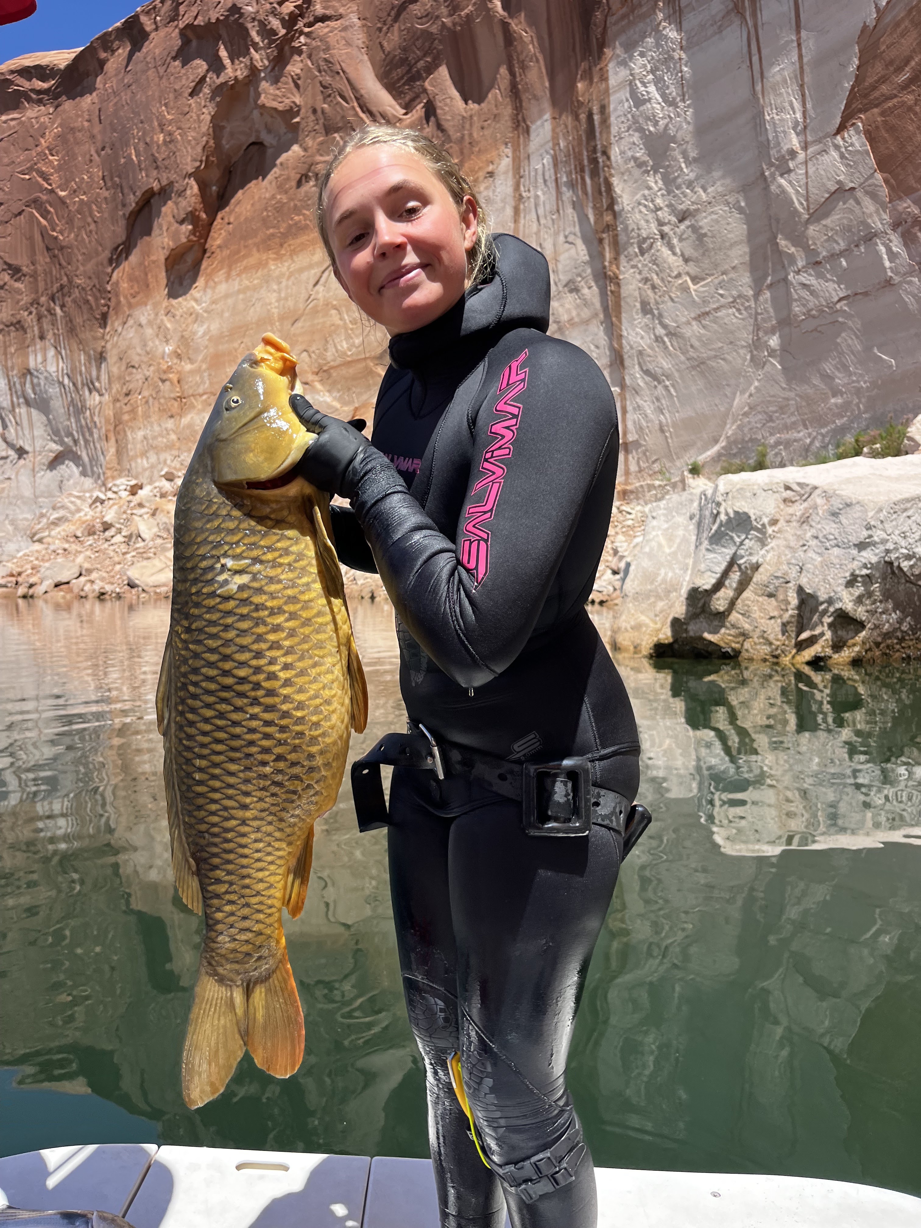 Lily Lake Powell